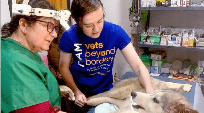 Volunteer Image